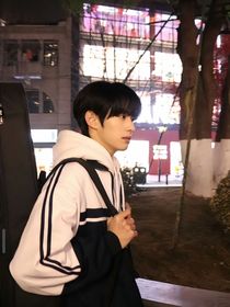 徐振軒：一硯梨花