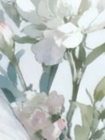 養(yǎng)只小雀兒