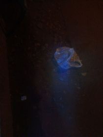 好賭品