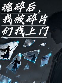 魂碎后，我被碎片們找上門