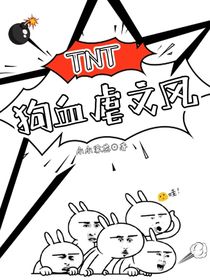 TNT：狗血虐文風