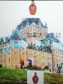 植物大戰(zhàn)僵尸尋寶記（加拿大）