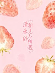 相見與相遇