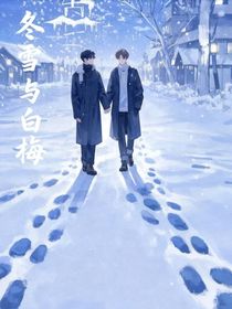 冬雪與白梅