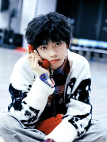 TF家族：肆時而動