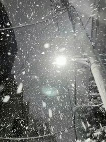 冷雨錯