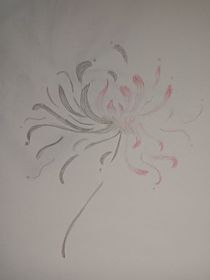 雙生花回響