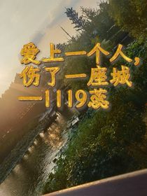 愛上一個人，傷了一座城