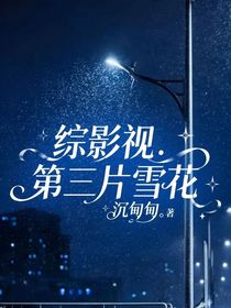 綜影視：第三片雪花