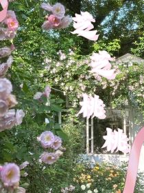 全明星：芝芝桃桃