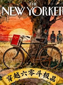 穿越六零斗極品