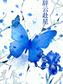 辭云赴星