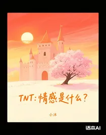 TNT：情感是什么？