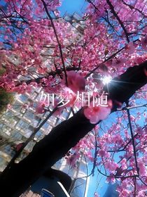 如夢相隨