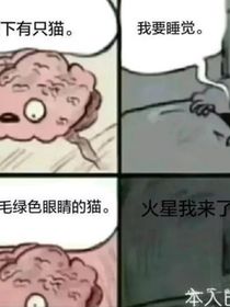貓武士—雪花之旅