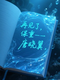 查理九世之放棄