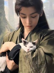 綜影視：女主她如此多嬌