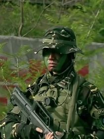 影視綜之特種兵系列