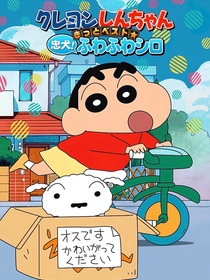 夕陽下的大象舞：小新的夏日冒險