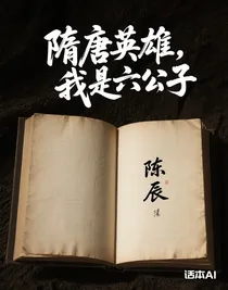 隋唐英雄，我是六公子