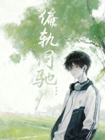 偏軌同馳