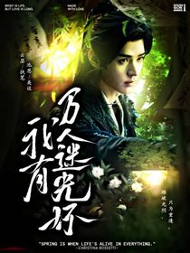 綜影視：我有萬人迷光環(huán)