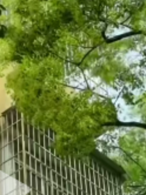 錯軌（同人：劉耀文X宋亞軒）