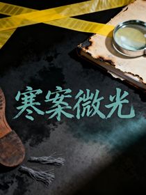 寒案微光