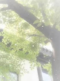 穿越魔道：开启摆烂生活