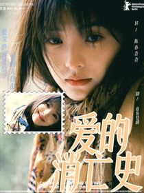 王安宇：爱的消亡史