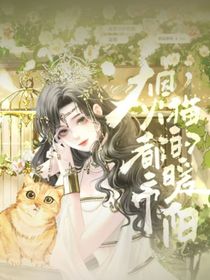 烟火都市，猫的暖阳