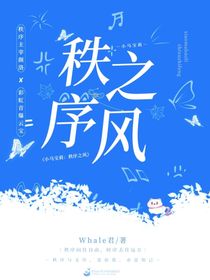 小马宝莉：秩序之风