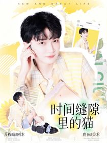 綜綜藝：時間縫隙里的貓