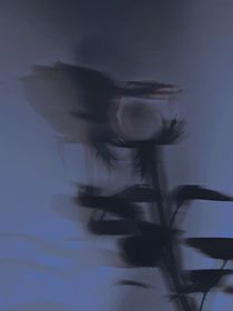 本文全是番外篇，各种私设番外