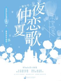 賽爾號：仲夏夜戀歌