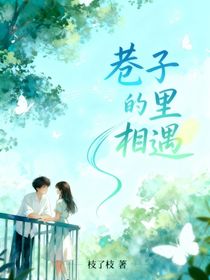 巷子里的相遇