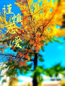 恋爱谨慎