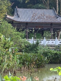 謝同學(xué)，我喜歡你