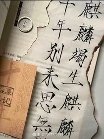 凰劫：覆手乾坤