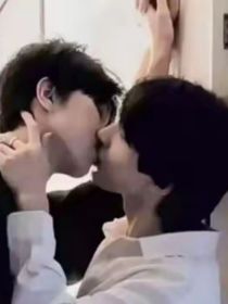 TNT我家的小狐貍