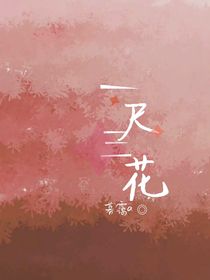 一尺三花