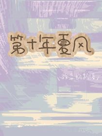 第十年夏风