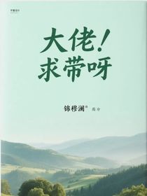 大佬！求带呀