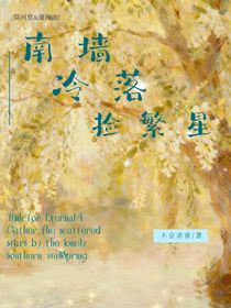 南墙冷落捡繁星
