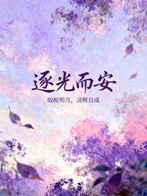 逐光而安