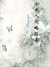 小龙人攻略指南