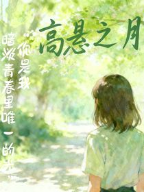 高悬之月