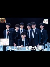 all轩：E级伪装