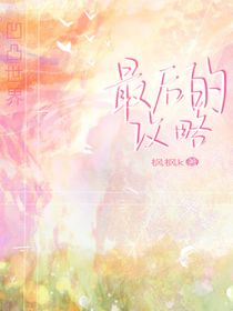 凹凸乙女之最后的攻略