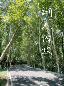 翊见清欢